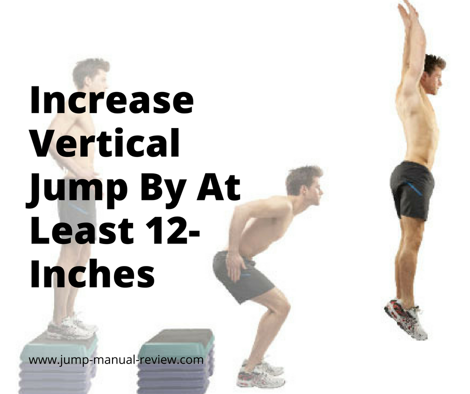 Vertical jump workout program